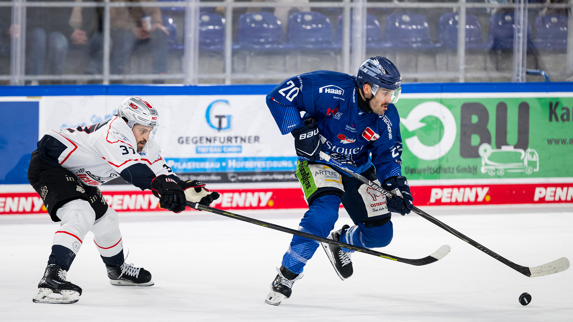 Straubing Tigers gg. Nürnberg Ice Tigers